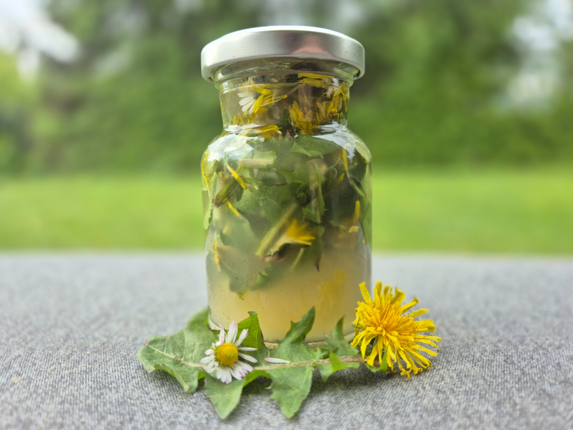 Löwenzahnbätter+Blüten Essig